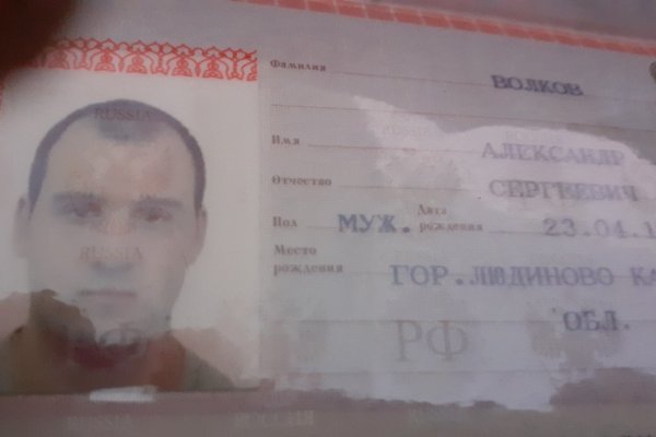 Кракен через тор браузер